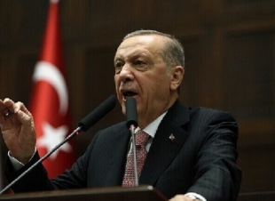 الرئيس التركي يؤكد مواصلة الجهود الدبلوماسية لإنهاء الأزمة الأوكرانية